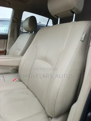 Lexus RX 2009 Gray