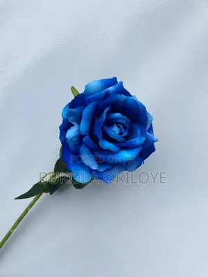 Royal Blue Long Stems Rentals Service