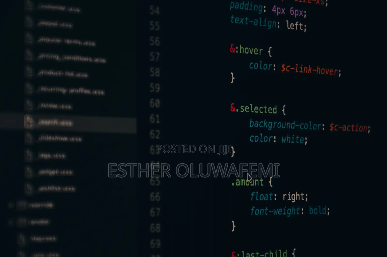 Software Engineer
