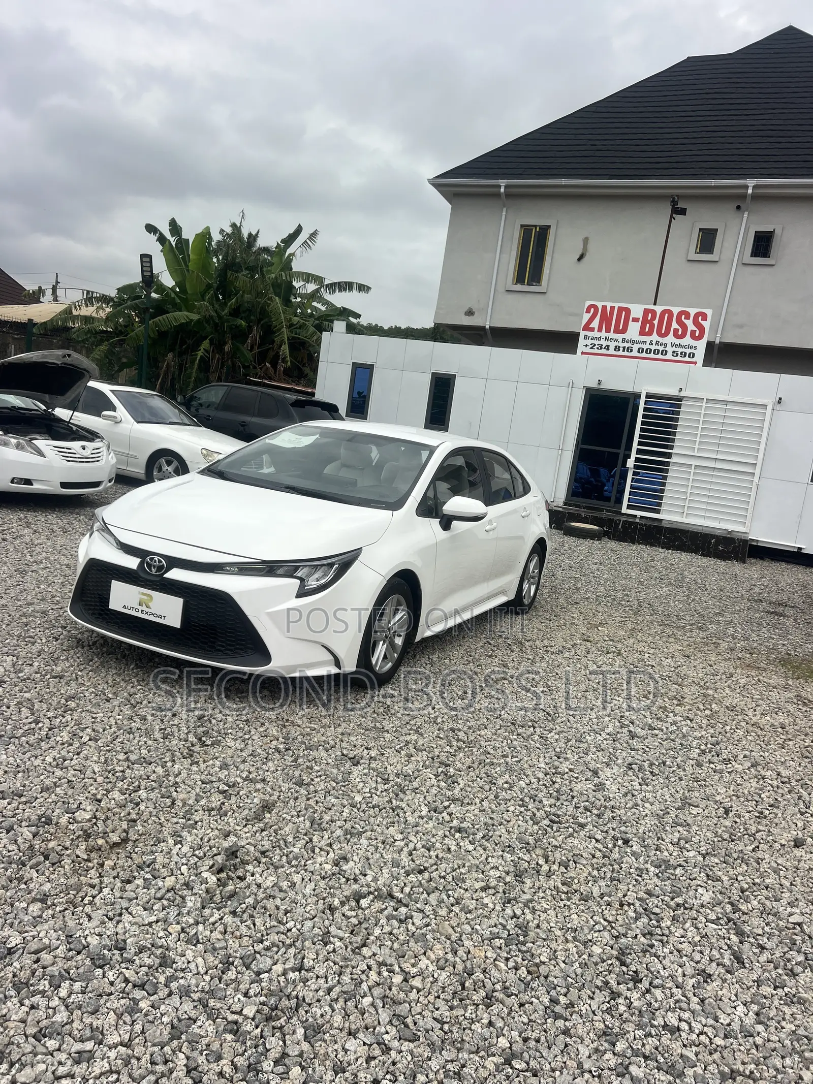 Toyota Corolla LE 2022 White