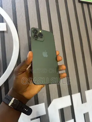 Apple iPhone 13 Pro Max 256 GB Green