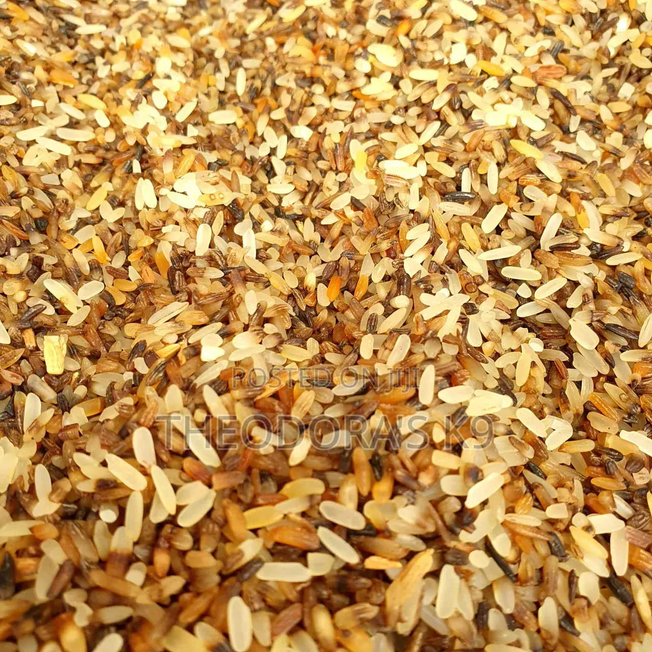 Dog Brown Rice