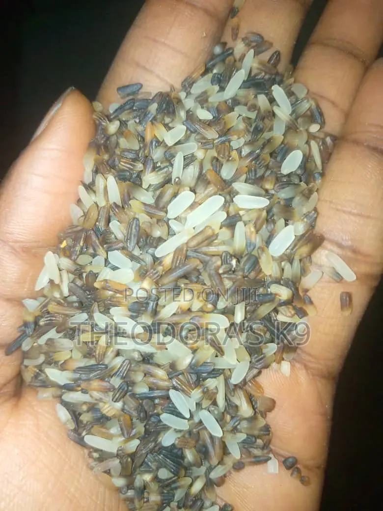 Dog Brown Rice