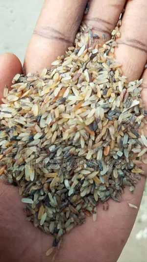 Dog Brown Rice