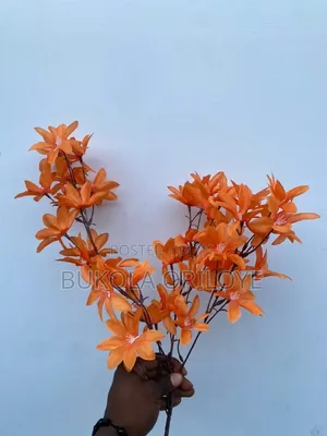 Orange Long Stems Flower Rentals Service