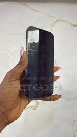 Apple iPhone 12 Pro Max 256 GB Black