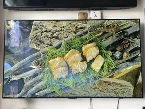 Blade Slim 2023 Latest 55” Lg Oled Evo Smart Tv /Dolby Atmos Sound