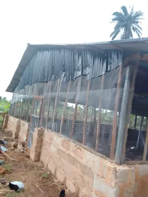 For Sale: Poultry Pig Farm Location: Idu Community Off Evbarue
