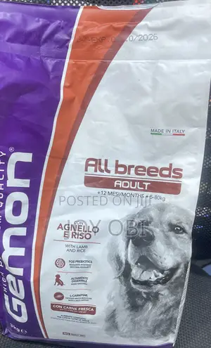 Pet Accessories