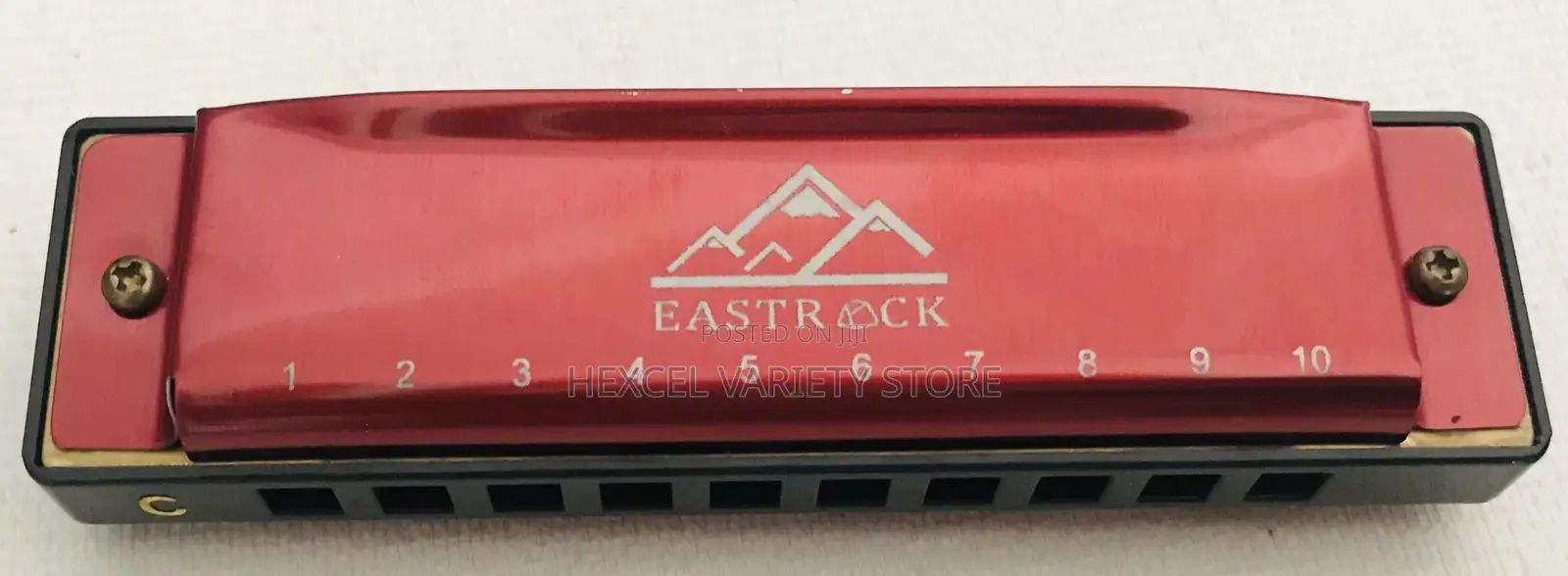 10-Hole Harmonica Instrument