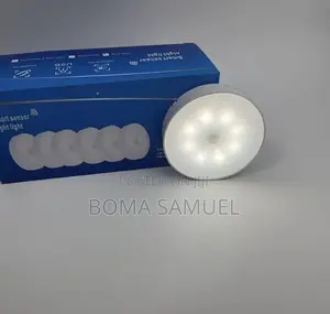 Motion Censor Light