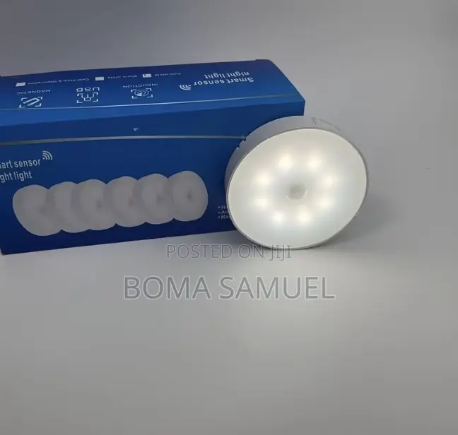 Motion Censor Light