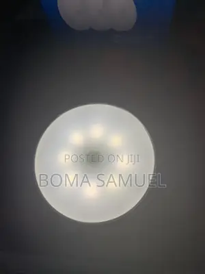 Motion Censor Light