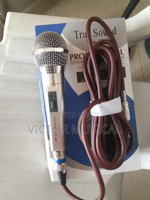 Dynamic Microphone