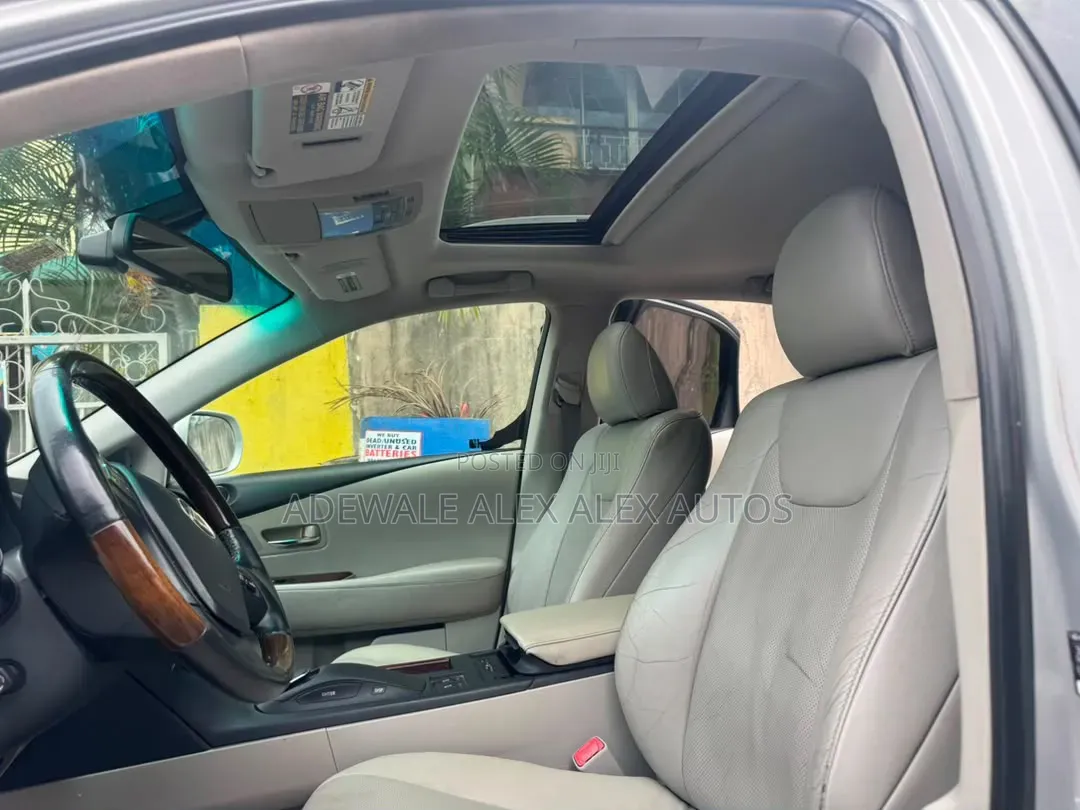 Lexus RX 2010 Silver