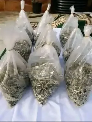 Supergene Sprouted Nuts for Sale