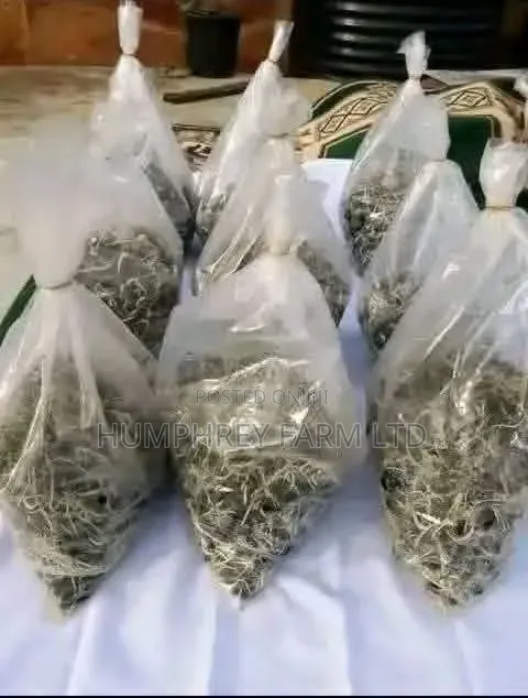Supergene Sprouted Nuts for Sale