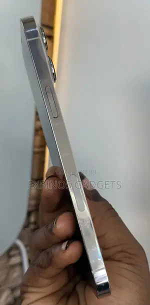 Apple iPhone 13 Pro Max 512 GB Silver