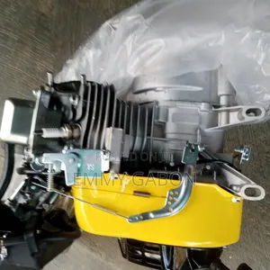 Half Engine for Generator (6.5hp)Gx200 Ec3000/2900