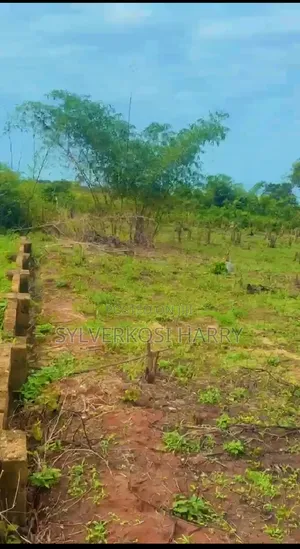 100 X 200 (1,858 Square Meters) at Upper Ekenwan (Back of S T Barrack)