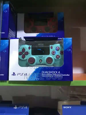 Play Station