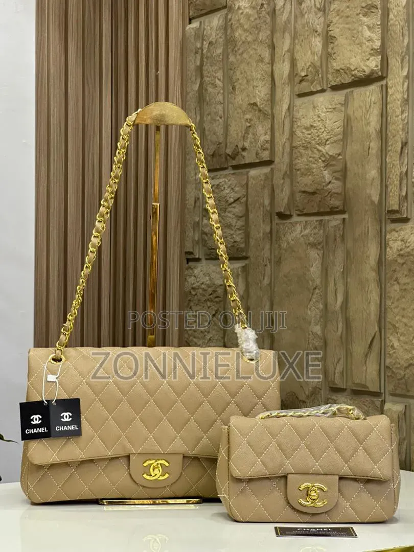 Chanel Medium Shoulder Bag- 2 in One Bag