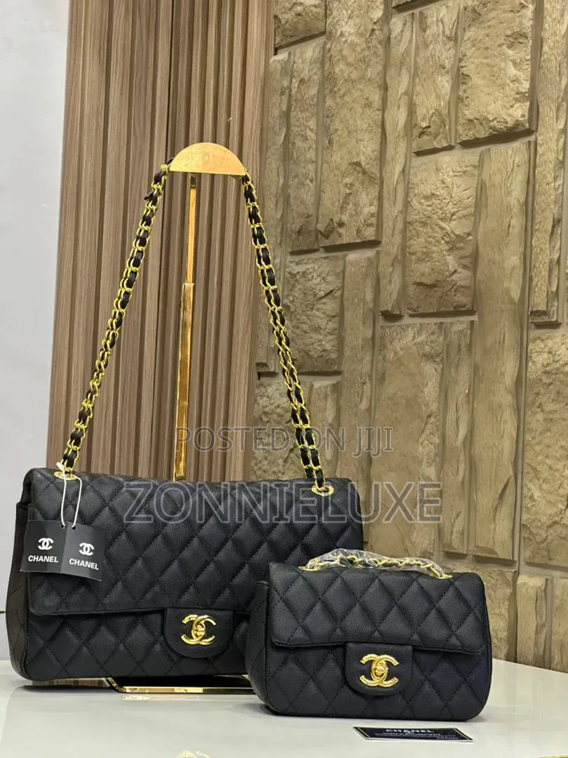 Chanel Medium Shoulder Bag- 2 in One Bag