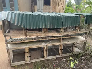 Cage For Rabbit, Chicken
