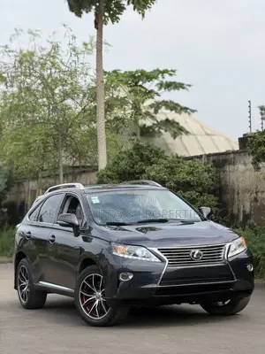 Lexus RX 350 2010 Gray