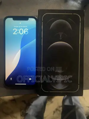 Apple iPhone 12 Pro Max 256 GB Rose Gold
