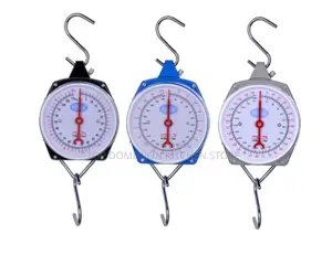 100kg Mechanical Hanging Scale With Hooks