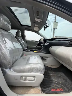 Lexus RX 350 2010 Gray