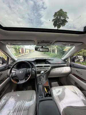 Lexus RX 350 2010 Gray