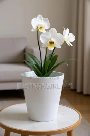 Faux Plants