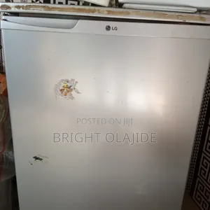 Lg Standing Fridge and Freezer