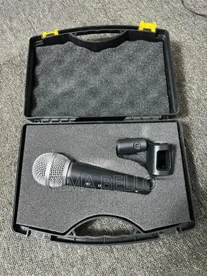 Shure Professional Microphone