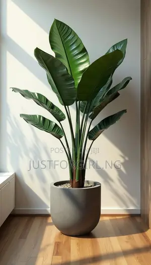 Faux Plants