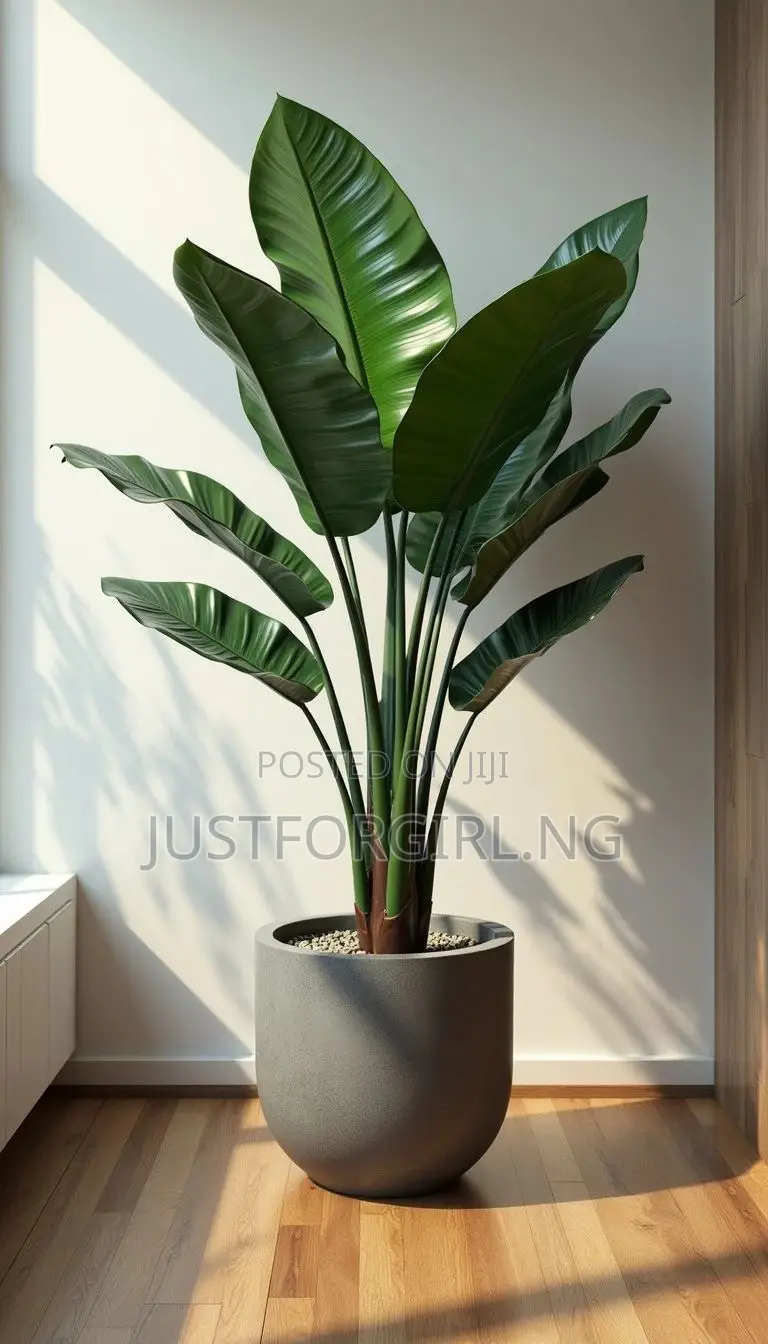 Faux Plants