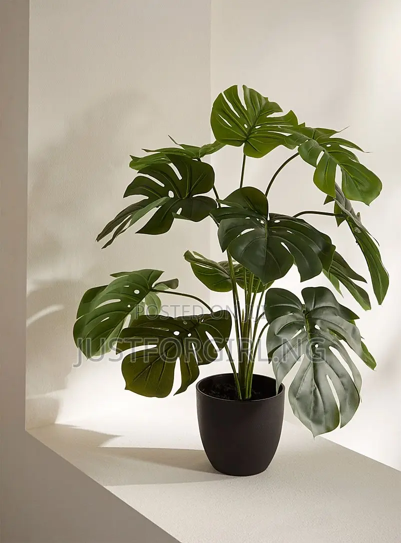 Faux Plants