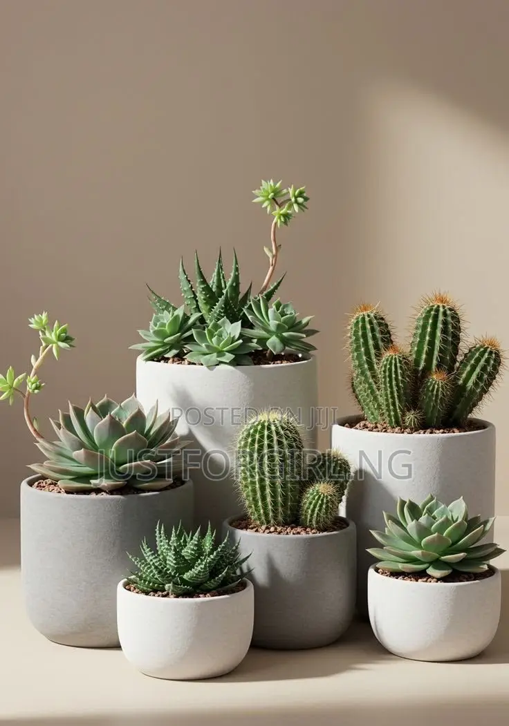 Faux Plants