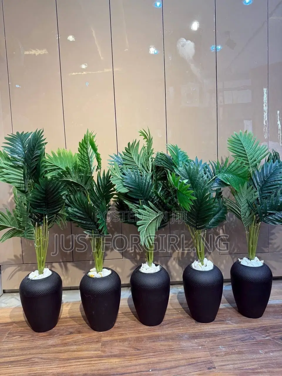 Faux Plants