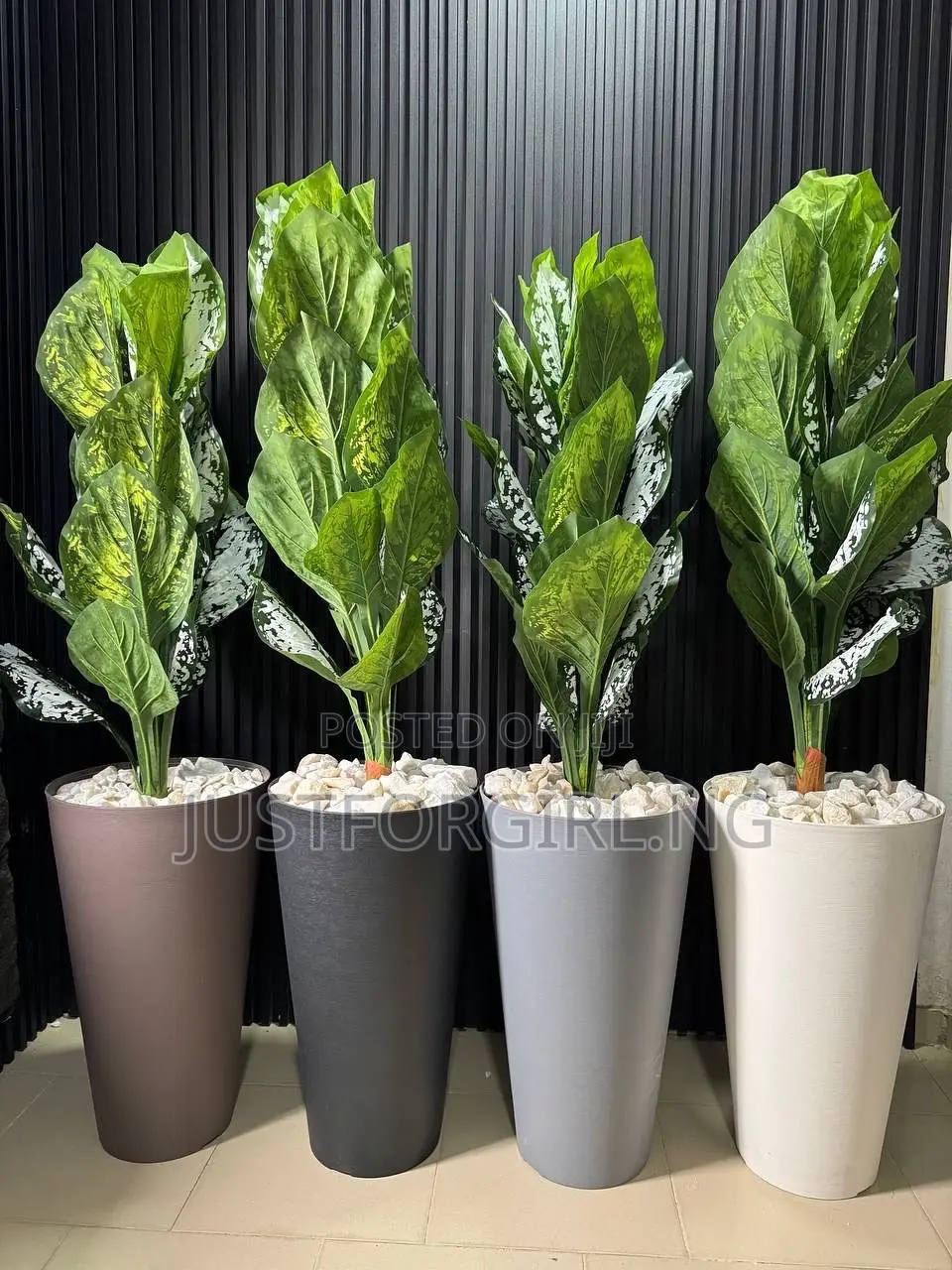 Faux Plants
