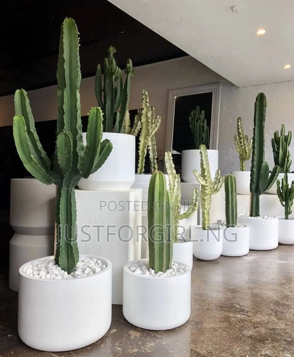 Faux Plants