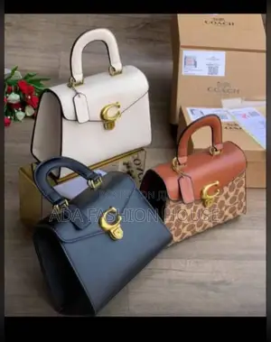 Female Hand Bag