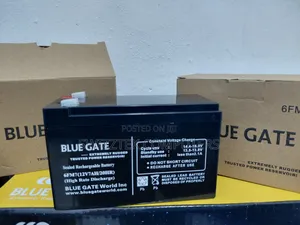 Bluegate 12v7ah)Sealed Rechargeable Battery.