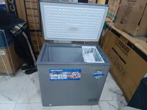 Skyrun 155l: Affordable Frozen Storage for Homes Businesses