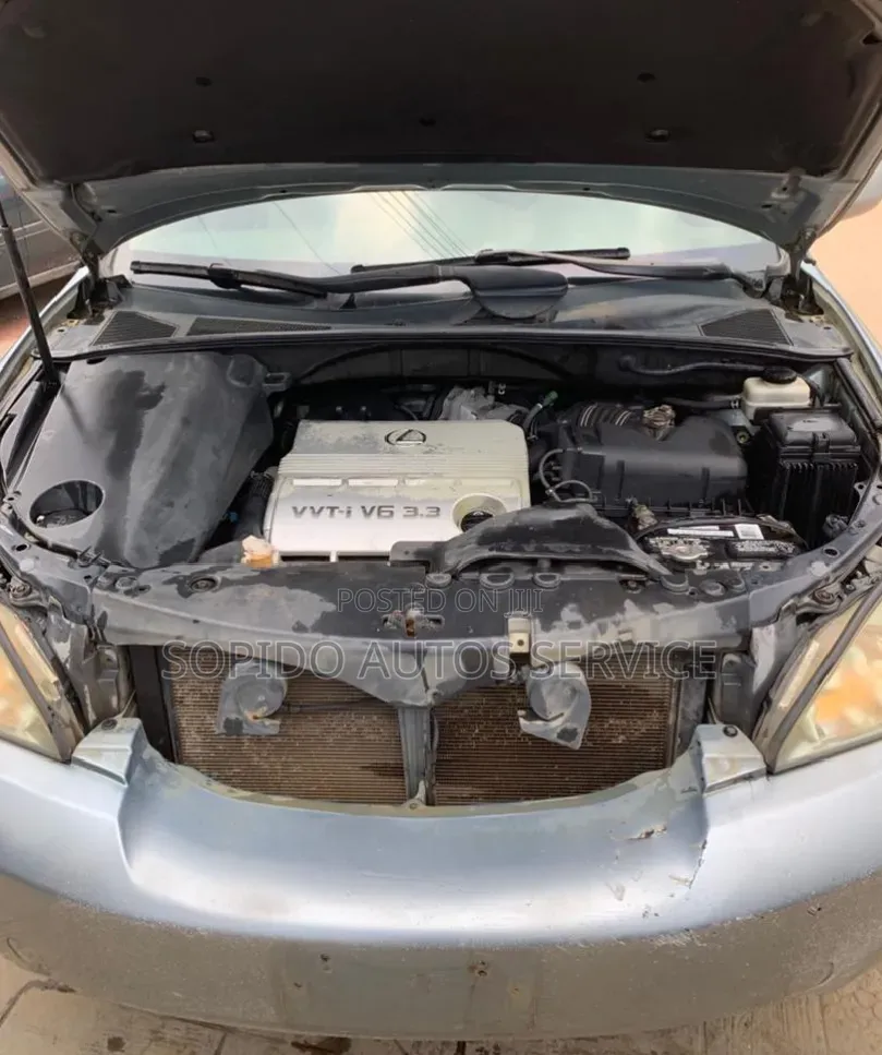 Lexus RX 2005 Blue