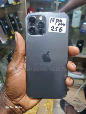 Apple iPhone 12 Pro Max 256 GB Gray