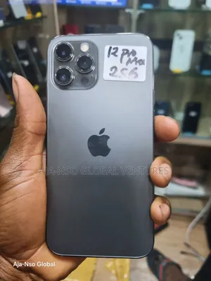 Apple iPhone 12 Pro Max 256 GB Gray