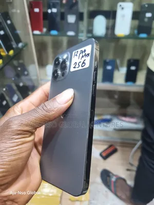 Apple iPhone 12 Pro Max 256 GB Gray